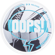 Wtf Oops Wintermint