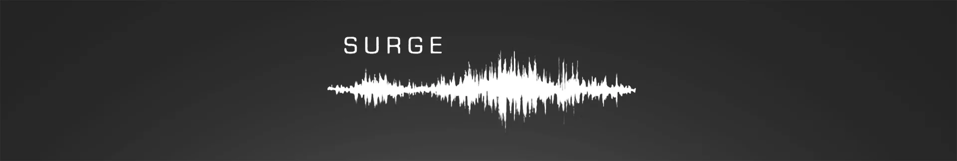 Surge Global Surge Global
