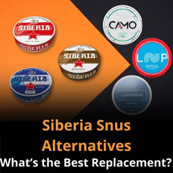 Siberia Snus Alternatives: What’s the Best Replacement?